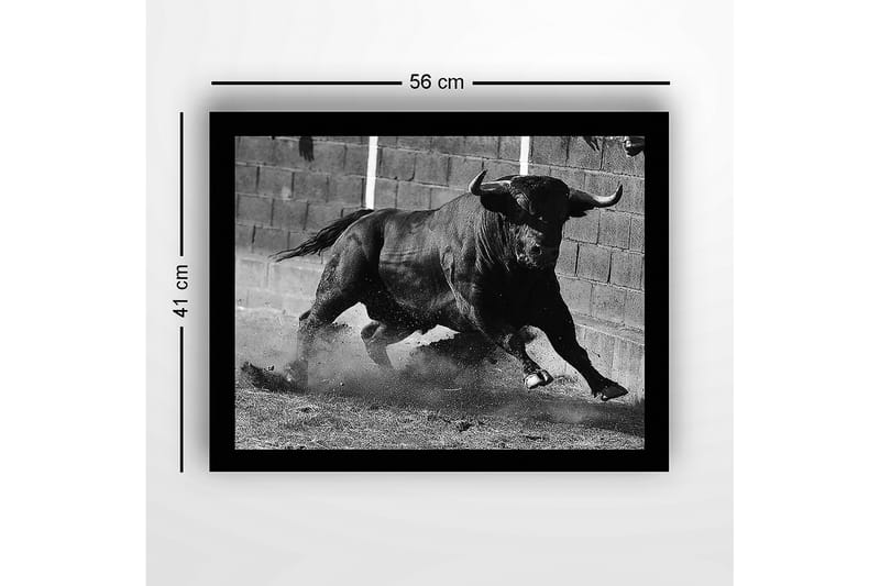 Kehystetty puucanvas - 41x56 cm - Voimakas härkä liikkeessä - Musta / Harmaa - Sisustustuotteet - Taulu & taide