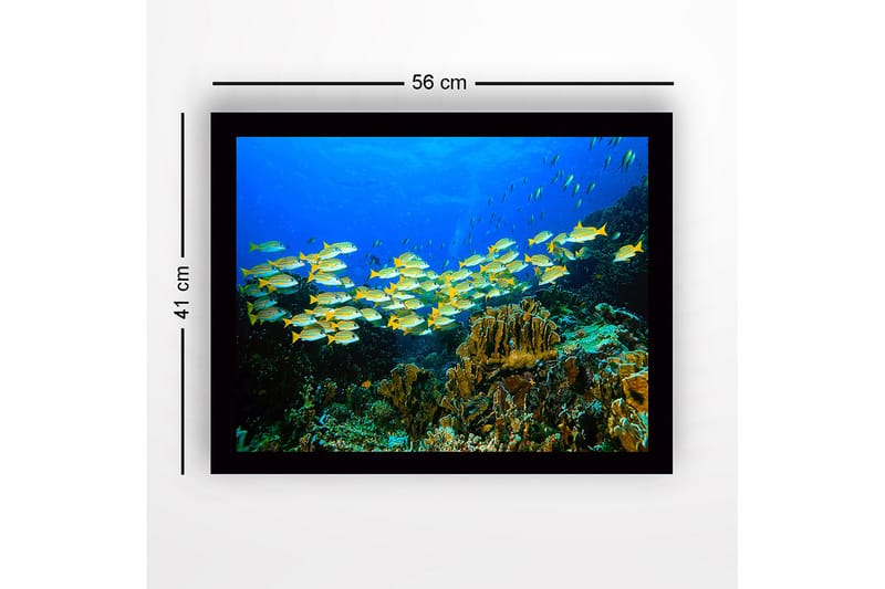 Kehystetty puutaulu - 41x56 cm - Parvi värikkäitä kaloja koralliriutalla - Sininen / Keltainen / Vihreä - Sisustustuotteet - Taulu & taide