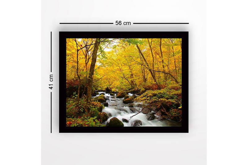 Kehystetty puinen canvas-taulu - 41x56 cm - Kaunis metsä solinaisella purolla, kultaisten syksyn lehtien ympäröimänä - Keltainen / Vihreä / Ruskea - Sisustustuotteet - Taulu & taide