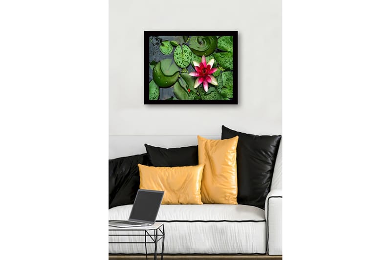 Kehystetty puinen canvas-taulu - 41x56 cm - Kaunis lumpeenlehti kelluu tyynellä veden pinnalla vihreiden lumpeenlehtien ympäröimänä - Vihreä / Vaaleanpunainen - Sisustustuotteet - Taulu & taide
