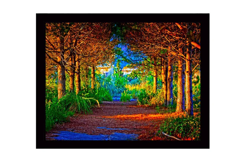 Kehystetty puutaulu canvas-taululla - 41x56 cm - Kaunis metsäpolku, jota ympäröivät kultaiset ja vihreät puut - Kulta / Vihreä / Ruskea - Sisustustuotteet - Taulu & taide