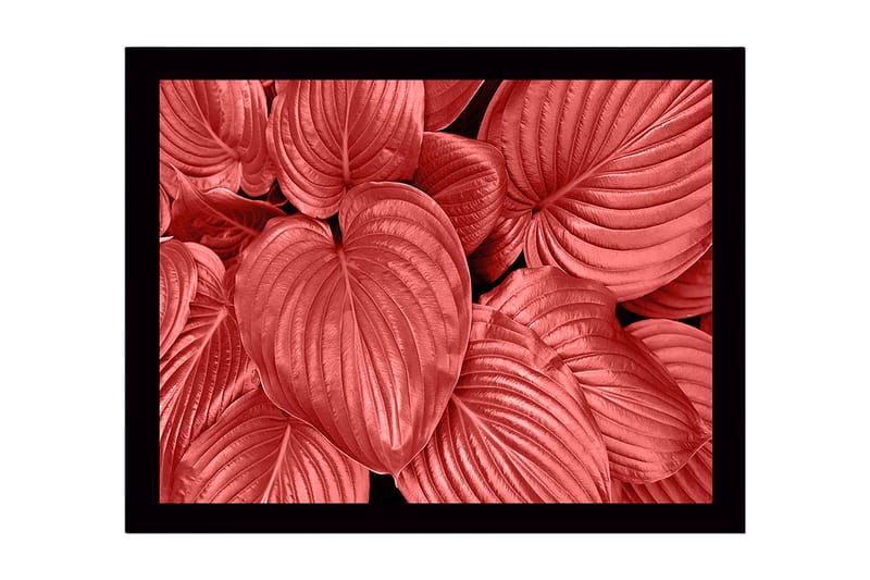 Kehystetty puutaulu canvasille - 41x56 cm - Värikkäitä lehtiä eri punaisen sävyissä, Punainen / Musta