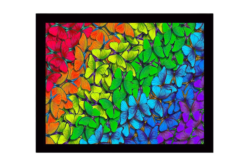 Kehystetty puukangas - 41x56 cm - Värikäs kokoelma perhosia eri sävyissä, Vihreä / Sininen / Punainen