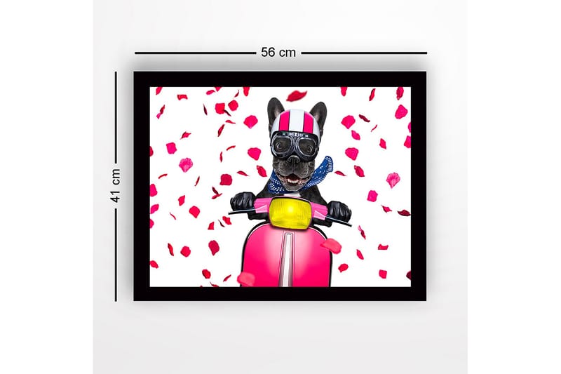 Kehystetty puutaulu canvasille - 41x56 cm - Koira skootterilla ruusun terälehtirusetilla - Vaaleanpunainen / Musta / Keltainen - Sisustustuotteet - Taulu & taide