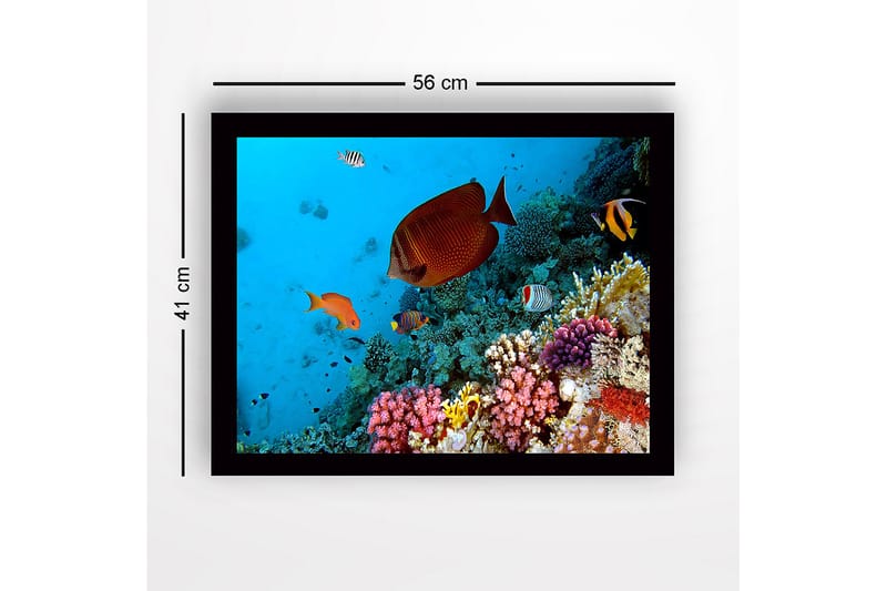 Kehystetty puutaulu canvasille - 41x56 cm - Värikäs vedenalainen maisema koralliriutalla ja trooppisilla kaloilla - Sininen / Oranssi / Vaaleanpunainen - Sisustustuotteet - Taulu & taide
