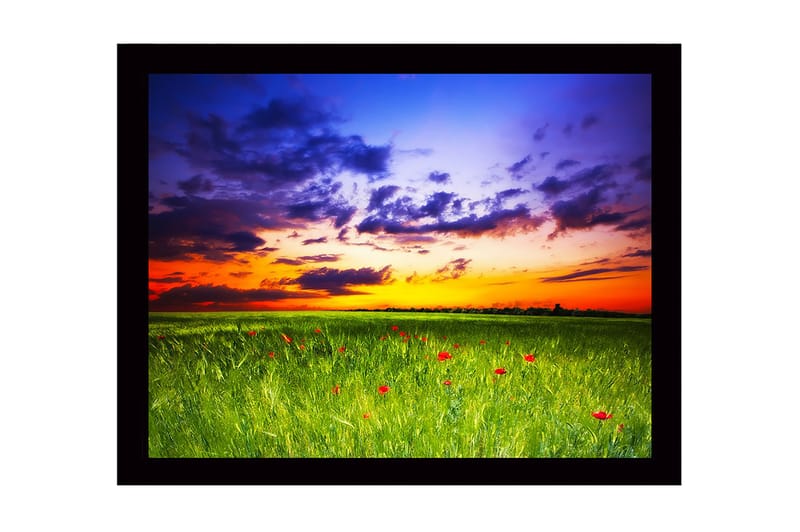 Kehystetty puutaulu canvasille - 41x56 cm - Kaunis auringonlasku vihreän niityn ja punaisten unikkojen yllä, Vihreä / Oranssi / Sininen