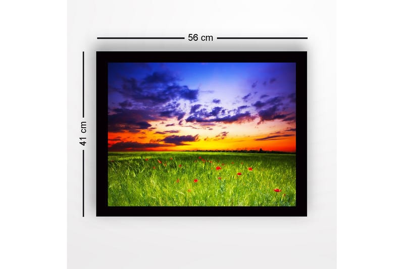 Kehystetty puutaulu canvasille - 41x56 cm - Kaunis auringonlasku vihreän niityn ja punaisten unikkojen yllä - Vihreä / Oranssi / Sininen - Sisustustuotteet - Taulu & taide