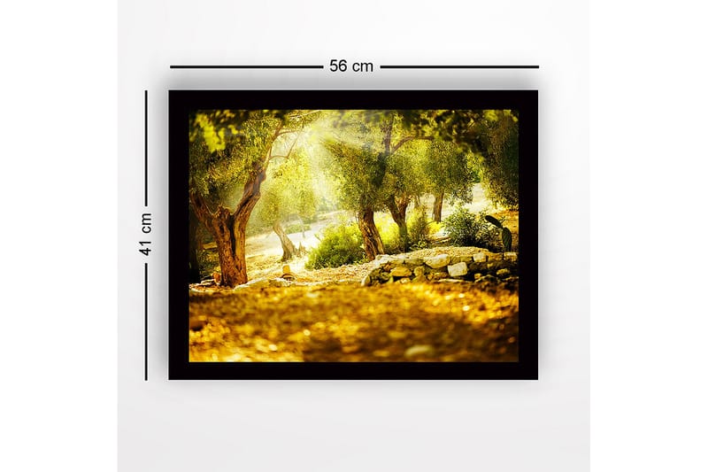 Kehystetty puutaulu canvasille - 41x56 cm - Aurinkoinen metsä oliivipuiden kanssa - Vihreä / Kulta / Ruskea - Sisustustuotteet - Taulu & taide