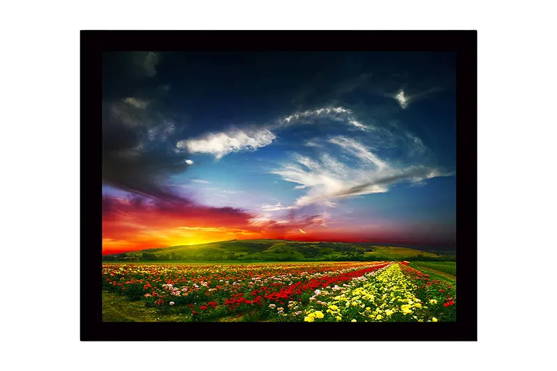 Kehystetty puutaulu canvasille - 41x56 cm - Värikäs kukkaniitty dramaattisen auringonlaskun aikaan, Punainen / Keltainen / Vihreä