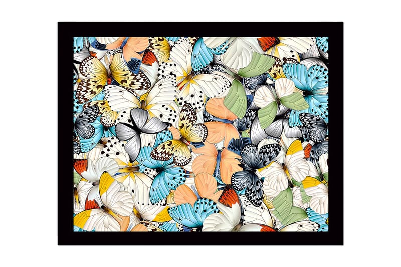 Kehystetty puukangas - 41x56 cm - Värikäs perhoskokoelma, Sininen / Valkoinen / Oranssi