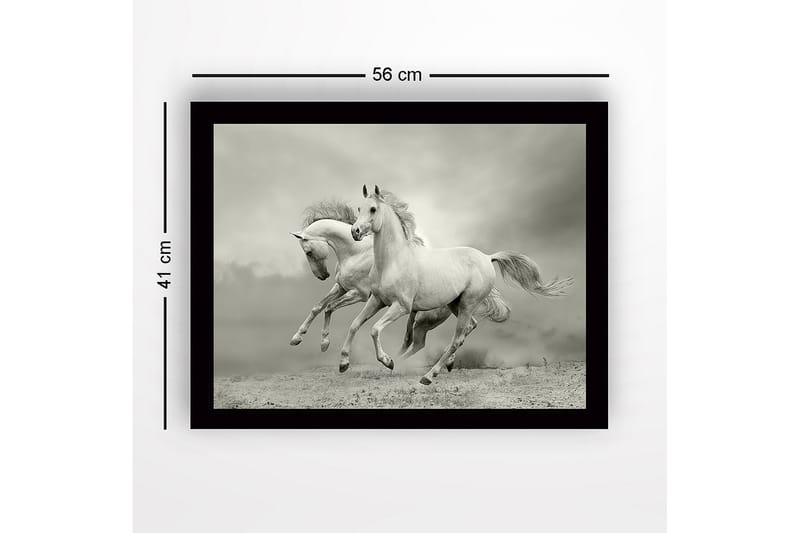 Kehystetty puutaulu canvasille - 41x56 cm - Kaksi valkoista hevosta laukkaa eteenpäin dramaattisessa ympäristössä - Valkoinen / Harmaa - Sisustustuotteet - Taulu & taide