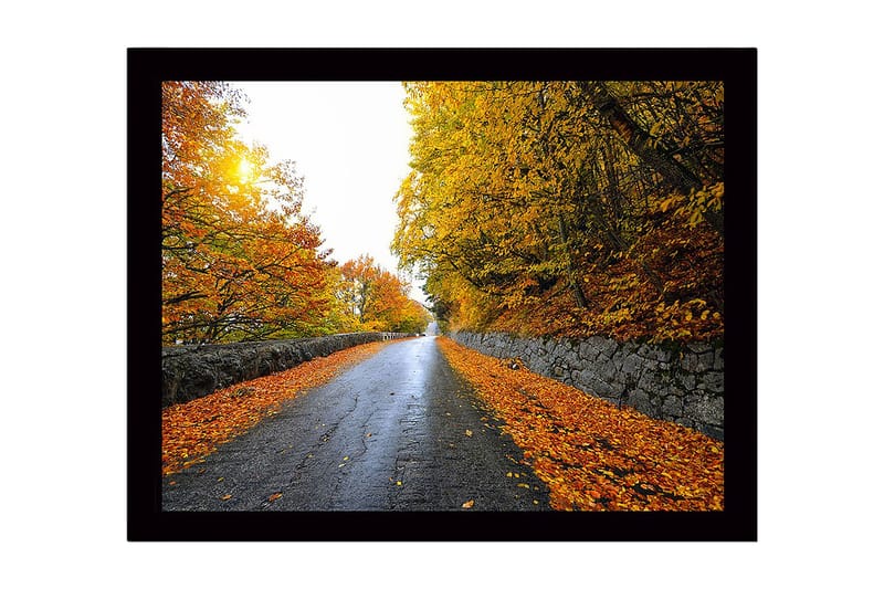 Kehystetty puinen canvas-taulu - 41x56 cm - Kaunis syysmaisema ja tie kultaisten puiden ympäröimänä, Kulta / Oranssi / Harmaa