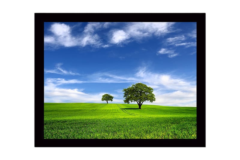 Kehystetty puinen canvas-taulu - 41x56 cm - Rehevä maisema ja kaksi puuta sinisen taivaan alla, Vihreä / Sininen