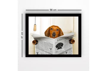 Kehystetty puutaulu canvasille - 41x56 cm - Koira lukee sanomalehteä DAILY DOG - Ruskea / Musta / Valkoinen - Sisustustuotteet - Taulu & taide