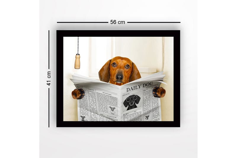 Kehystetty puutaulu canvasille - 41x56 cm - Koira lukee sanomalehteä DAILY DOG - Ruskea / Musta / Valkoinen - Sisustustuotteet - Taulu & taide
