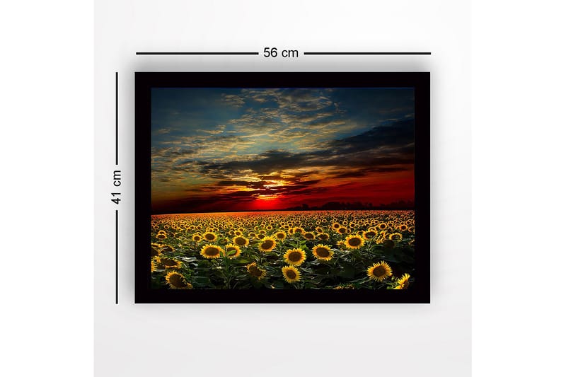 Kehystetty puutaulu canvasille - 41x56 cm - Auringonkukkapelto värikkään auringonlaskun alla - Keltainen / Oranssi / Sininen - Sisustustuotteet - Taulu & taide