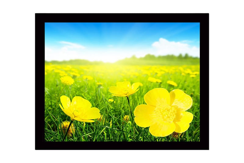 Kehystetty puutaulu canvasille - 41x56 cm - Keltaisten kukkien niitty aurinkoisessa maisemassa, Keltainen / Vihreä