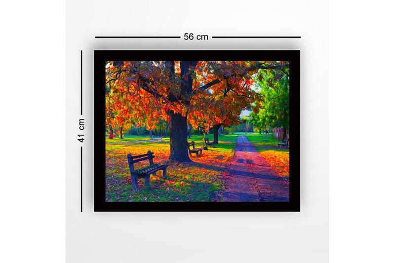 Kehystetty puutaulu canvasille - 41x56 cm - Kaunis syysmaisema värikkäillä puilla ja penkeillä puistossa - Oranssi / Vihreä / Ruskea - Sisustustuotteet - Taulu & taide