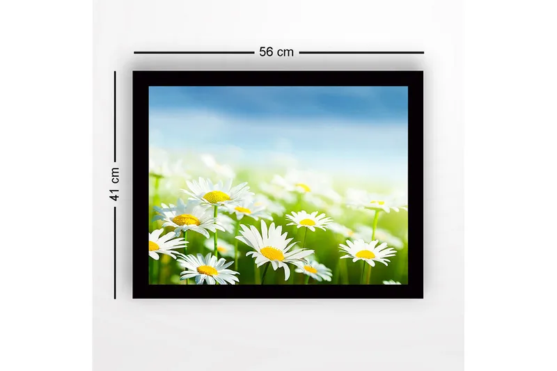 Kehystetty puutaulu canvasille - 41x56 cm - Värikäs niitty kukkivien päivänkakkaroiden kera - Valkoinen / Keltainen / Vihreä - Sisustustuotteet - Taulu & taide