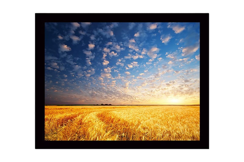 Kehystetty puutaulu canvasille - 41x56 cm - Kaunis auringonlasku kultaisen vehnäpellon yllä, Kulta / Sininen / Valkoinen