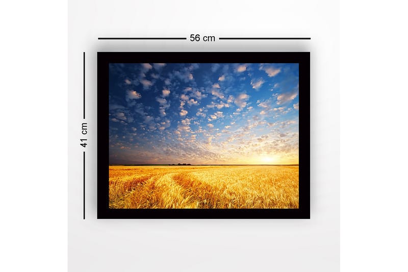 Kehystetty puutaulu canvasille - 41x56 cm - Kaunis auringonlasku kultaisen vehnäpellon yllä - Kulta / Sininen / Valkoinen - Sisustustuotteet - Taulu & taide