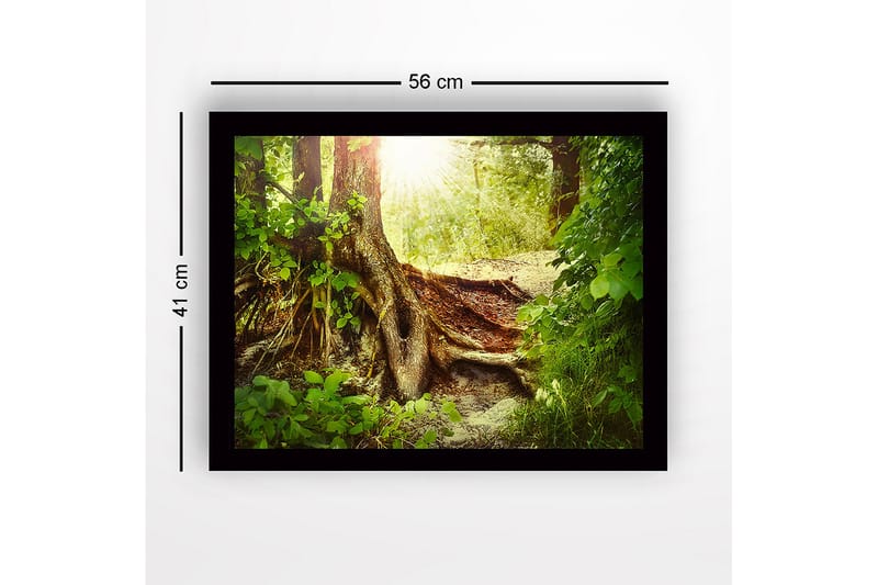 Kehystetty puutaulu canvas-taululla - 41x56 cm - Rehevä metsä, jossa on suuri puunjuuri ja auringonsäteet siivilöityvät lehtien läpi - Vihreä / Ruskea / Keltainen - Sisustustuotteet - Taulu & taide