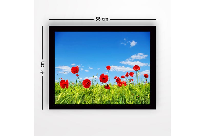 Kehystetty puutaulu canvasille - 41x56 cm - Punaisia unikkoja vihreällä niityllä kirkkaan sinisen taivaan alla - Punainen / Vihreä / Sininen - Sisustustuotteet - Taulu & taide