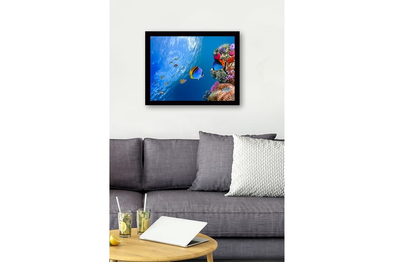 Kehystetty puinen canvas-taulu - 41x56 cm - Värikäs vedenalainen kohtaus koralliriutalla ja uivilla kaloilla - Sininen / Oranssi / Vaaleanpunainen - Sisustustuotteet - Taulu & taide