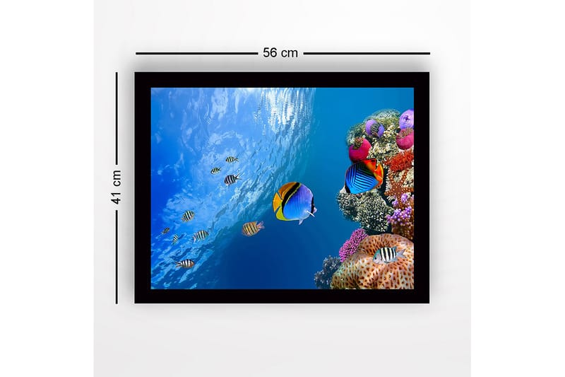 Kehystetty puinen canvas-taulu - 41x56 cm - Värikäs vedenalainen kohtaus koralliriutalla ja uivilla kaloilla - Sininen / Oranssi / Vaaleanpunainen - Sisustustuotteet - Taulu & taide
