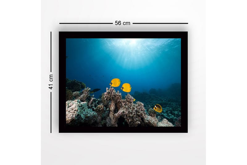 Kehystetty puutaulu canvasille - 41x56 cm - Värikkäitä kaloja koralliriuttojen keskellä - Keltainen / Sininen / Harmaa - Sisustustuotteet - Taulu & taide