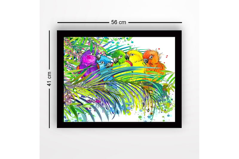 Kehystetty puinen canvas-taulu - 41x56 cm - Värikkäitä papukaijoja trooppisten kasvien ympäröimänä - Vihreä / Sininen / Keltainen - Sisustustuotteet - Taulu & taide