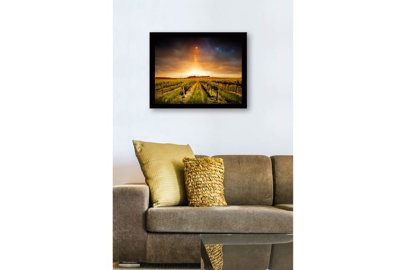 Kehystetty puutaulu canvasille - 41x56 cm - Kaunis viinitarha kultaisen auringonlaskun alla - Kulta / Vihreä / Ruskea - Sisustustuotteet - Taulu & taide