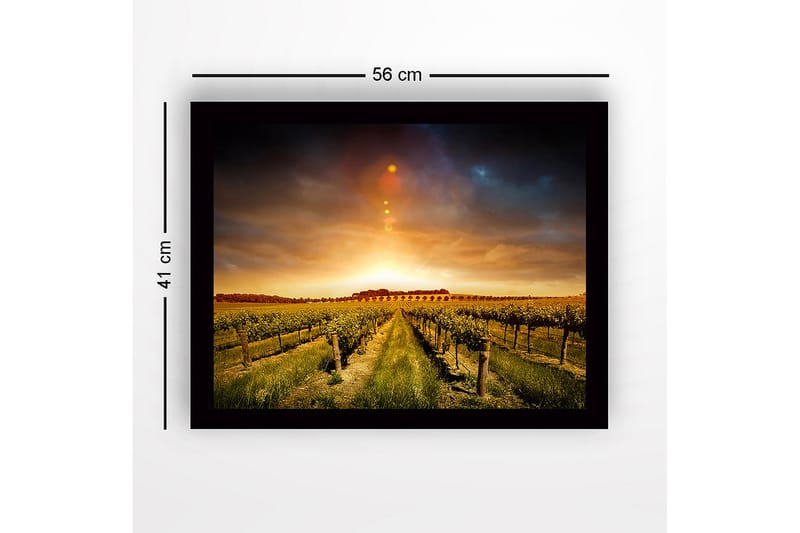 Kehystetty puutaulu canvasille - 41x56 cm - Kaunis viinitarha kultaisen auringonlaskun alla - Kulta / Vihreä / Ruskea - Sisustustuotteet - Taulu & taide