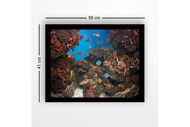 Kehystetty puinen canvas-taulu - 41x56 cm - Värikäs vedenalainen kohtaus koralliriutalla ja uivilla kaloilla - Sininen / Oranssi / Vihreä - Sisustustuotteet - Taulu & taide
