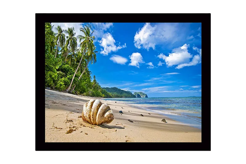 Kehystetty puutaulu canvasille - 41x56 cm - Simpukankuoria aurinkoisella rannalla palmujen taustalla, Sininen / Vihreä / Beige