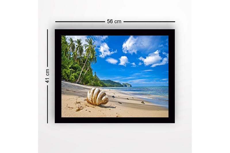 Kehystetty puutaulu canvasille - 41x56 cm - Simpukankuoria aurinkoisella rannalla palmujen taustalla - Sininen / Vihreä / Beige - Sisustustuotteet - Taulu & taide