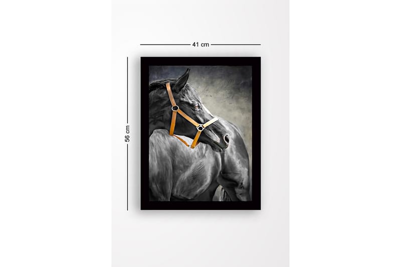 Kehystetty puutaulu canvasille - 41x56 cm - Musta hevonen oranssilla riimulla profiilissa - Musta / Oranssi / Harmaa - Sisustustuotteet - Taulu & taide