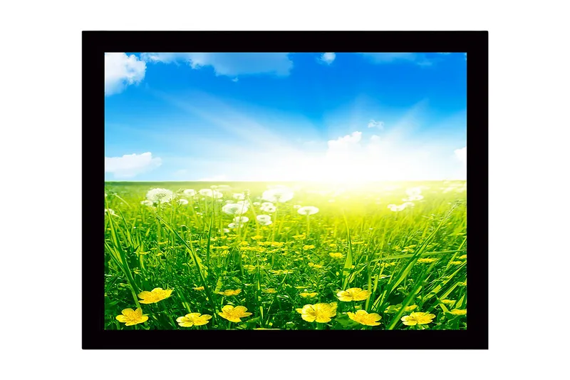 Kehystetty puutaulu canvasille - 41x56 cm - Aurinkoinen niitty keltaisilla kukilla ja vihreällä ruoholla, Keltainen / Vihreä / Sininen