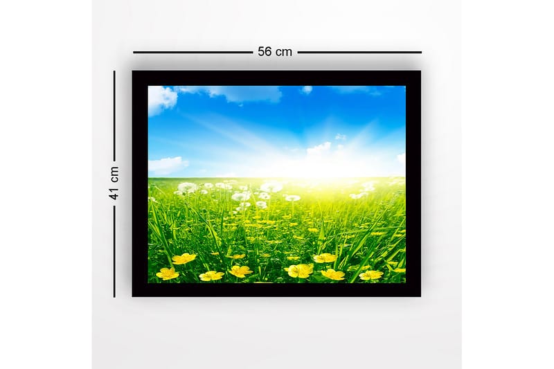 Kehystetty puutaulu canvasille - 41x56 cm - Aurinkoinen niitty keltaisilla kukilla ja vihreällä ruoholla - Keltainen / Vihreä / Sininen - Sisustustuotteet - Taulu & taide