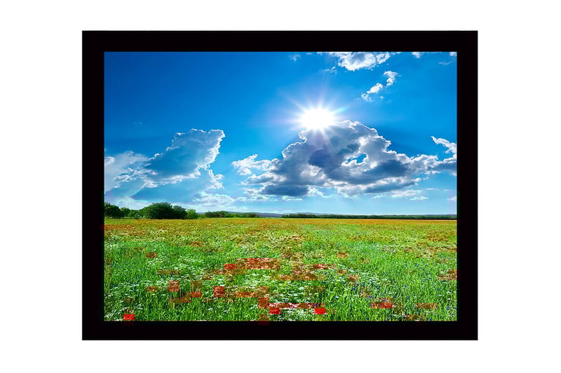 Kehystetty puutaulu canvasille - 41x56 cm - Kukkiva niitty punaisilla unikoilla ja valkoisilla kukilla kirkkaan sinisen taivaan alla - Vihreä / Punainen / Valkoinen - Sisustustuotteet - Taulu & taide