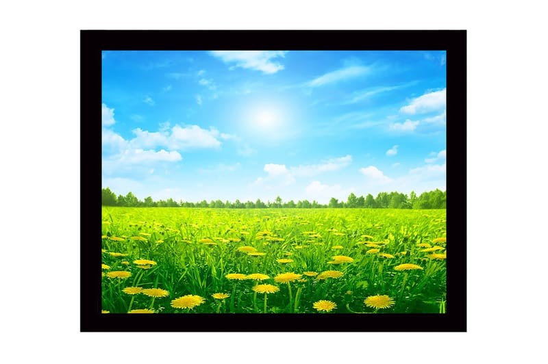 Kehystetty puutaulu canvasille - 41x56 cm - Aurinkoinen niitty kukkivien voikukkien kanssa, Vihreä / Keltainen / Sininen