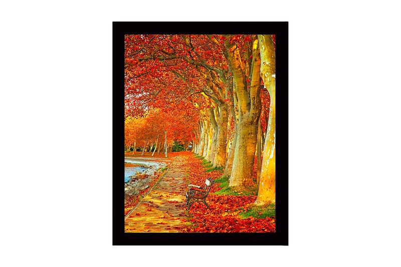 Kehystetty puutaulu canvas-taululla - 41x56 cm - Kaunis katu syksyn väristen puiden ja penkin kanssa kävelypolun varrella, Oranssi / Kulta / Vihreä