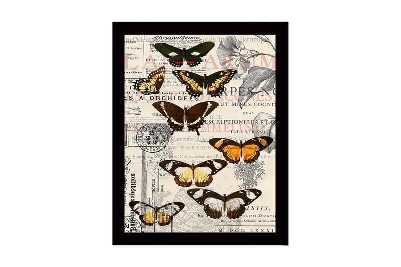 Kehystetty puinen canvas-taulu - 41x56 cm - Värikkäitä perhosia vintage-henkisellä taustalla, Musta / Ruskea / Oranssi