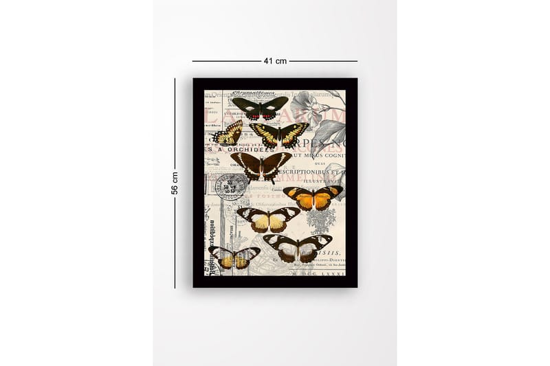 Kehystetty puinen canvas-taulu - 41x56 cm - Värikkäitä perhosia vintage-henkisellä taustalla - Musta / Ruskea / Oranssi - Sisustustuotteet - Taulu & taide