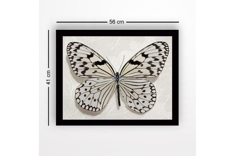 Kehystetty puutaulu canvasille - 41x56 cm - Kaunis perhonen yksityiskohtaisilla mustavalkoinen kuvioilla - Valkoinen / Musta - Sisustustuotteet - Taulu & taide