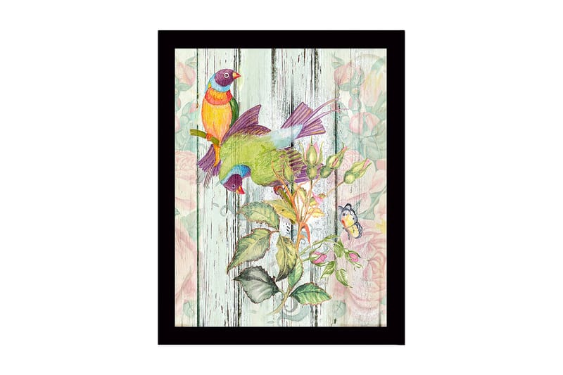 Kehystetty puutaulu canvasille - 41x56 cm - Värikkäitä lintuja kasvitieteellisessä sommitelmassa, Vihreä / Keltainen / Violetti