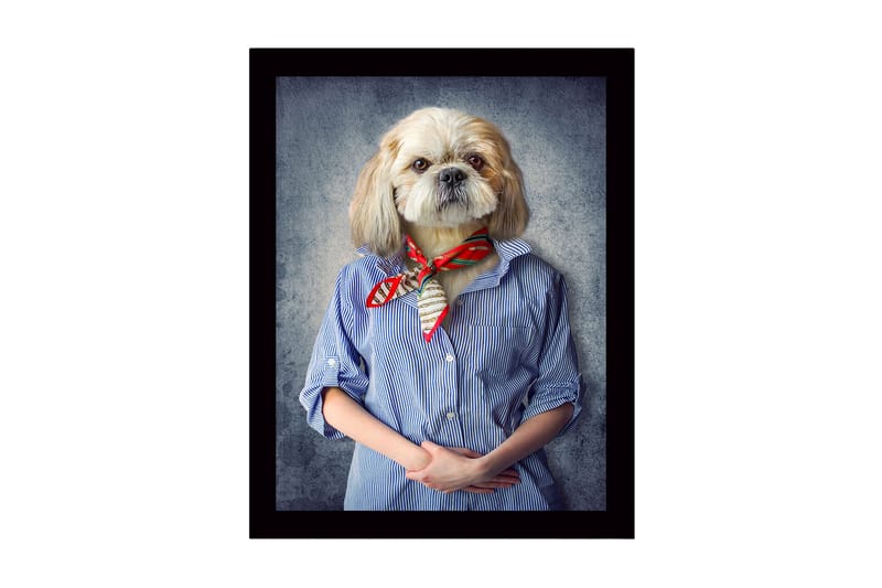 Kehystetty puucanvas - 41x56 cm - Ihmisen kaltaiset piirteet omaava koira, jolla on paita ja huivi, Sininen / Beige / Punainen