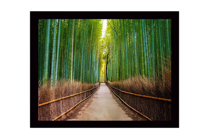 Kehystetty puinen canvas-taulu - 41x56 cm - Vihreä bambumetsä ja polku puiden läpi, Vihreä / Ruskea