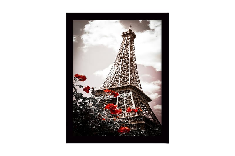 Kehystetty puutaulu canvasille - 41x56 cm - Eiffel-torni punaisten ruusujen ympäröimänä, Punainen / Musta / Harmaa