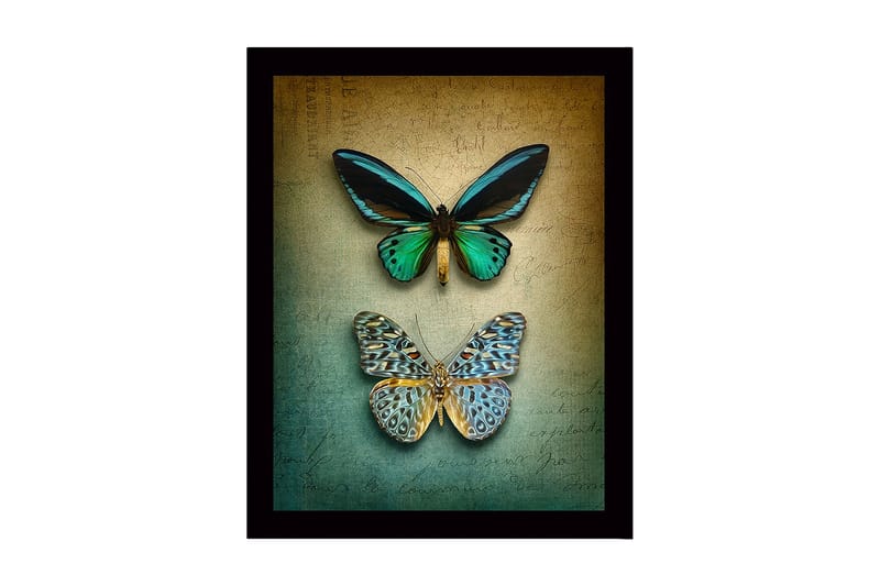 Kehystetty puinen canvas-taulu - 41x56 cm - Värikkäitä perhosia teksturoidulla taustalla, Vihreä / Sininen / Beige